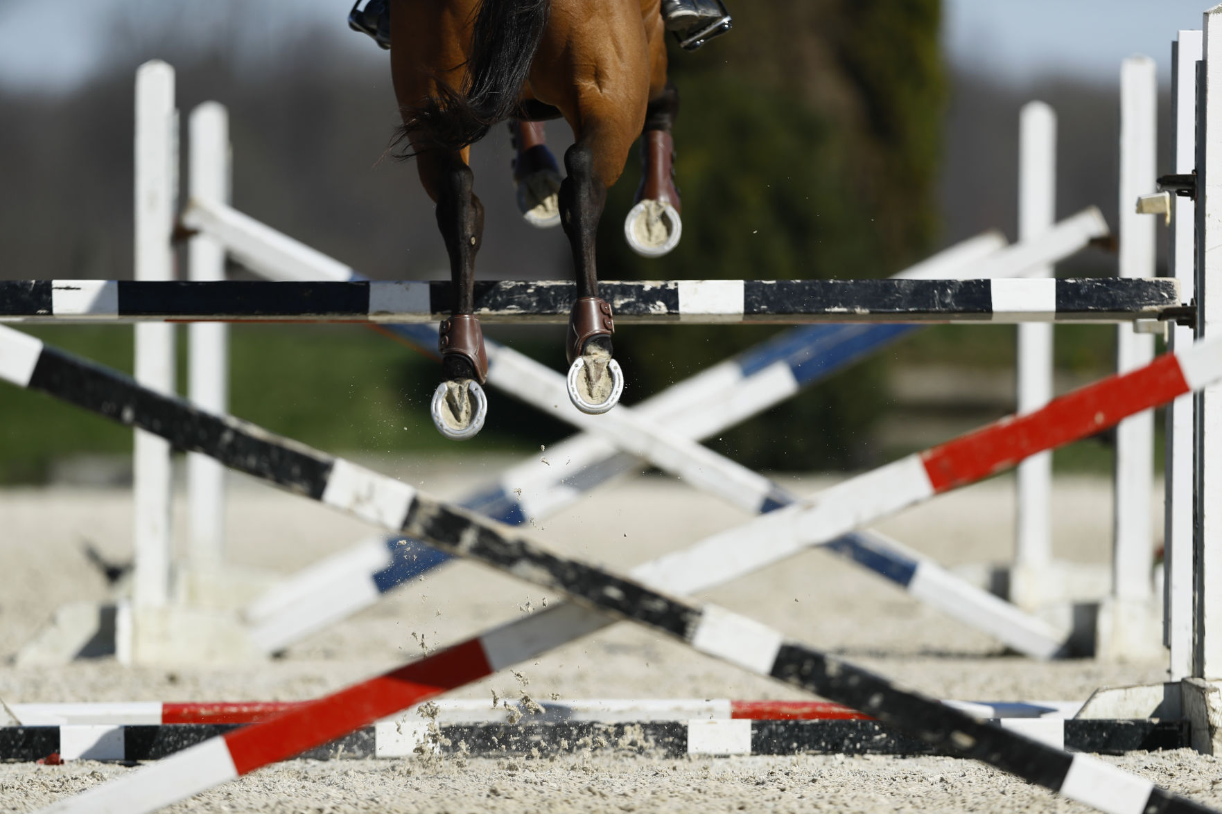 APTOPIX Virus Outbreak Olympic Equestrian Photo Gallery